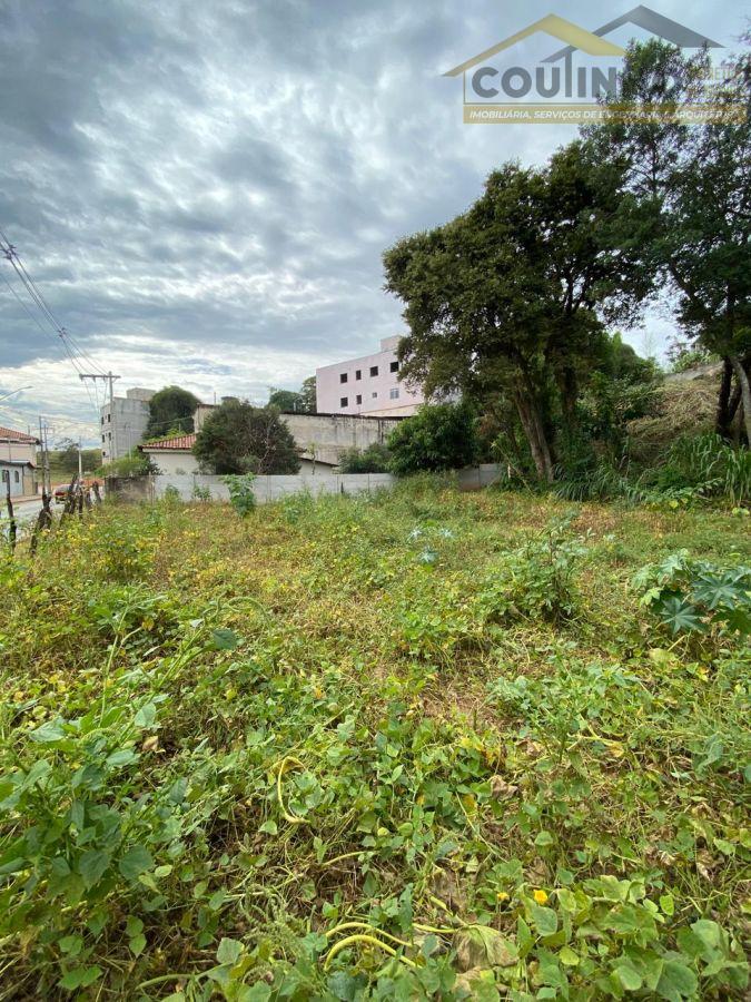 WhatsApp Image 2025-06-09 at 11.19.24 (1).jpeg